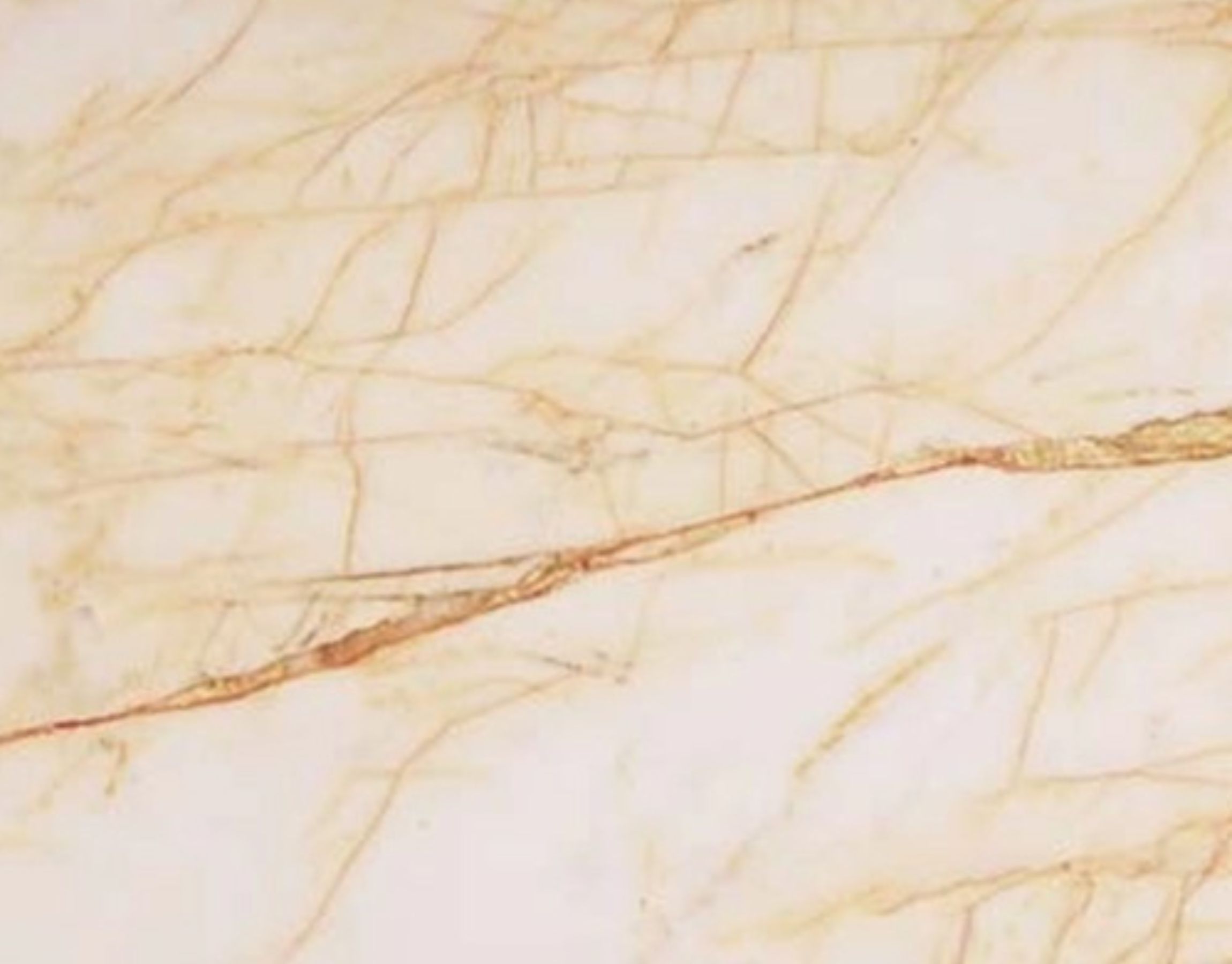 Golden Spider Marble